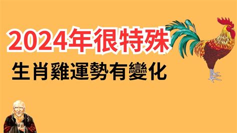 1969屬雞2024運勢|1969年属鸡人2024年运势及运程男，69年55岁生肖。